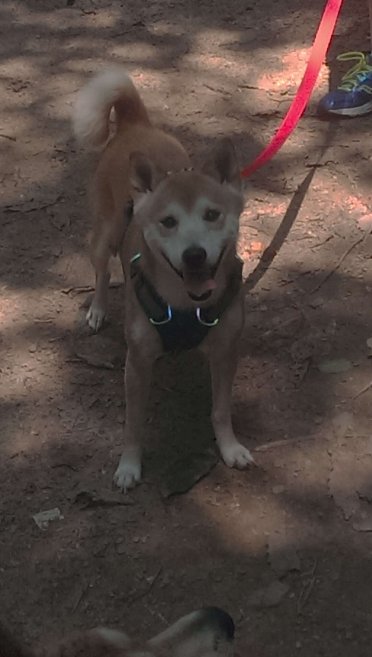 kaiyun开云·官方网站-_足球迷狂欢夜：直播比赛看得过瘾_，足球直播 球迷网