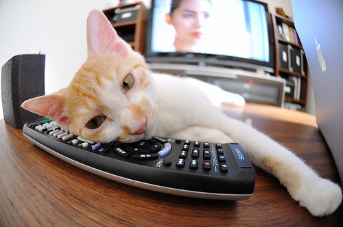 开云官方-国家篮球联赛引进全新数据分析系统助力球队备战，中国篮球数据库查询