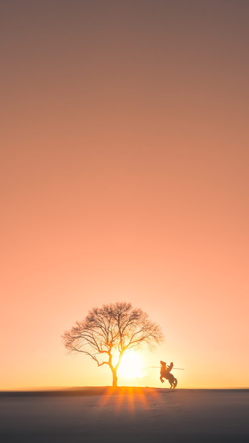 KAIYUN 中国大陆-《巴黎人报》：巴西女足在奥运会小组赛中表现出色，奥运会 巴西女足