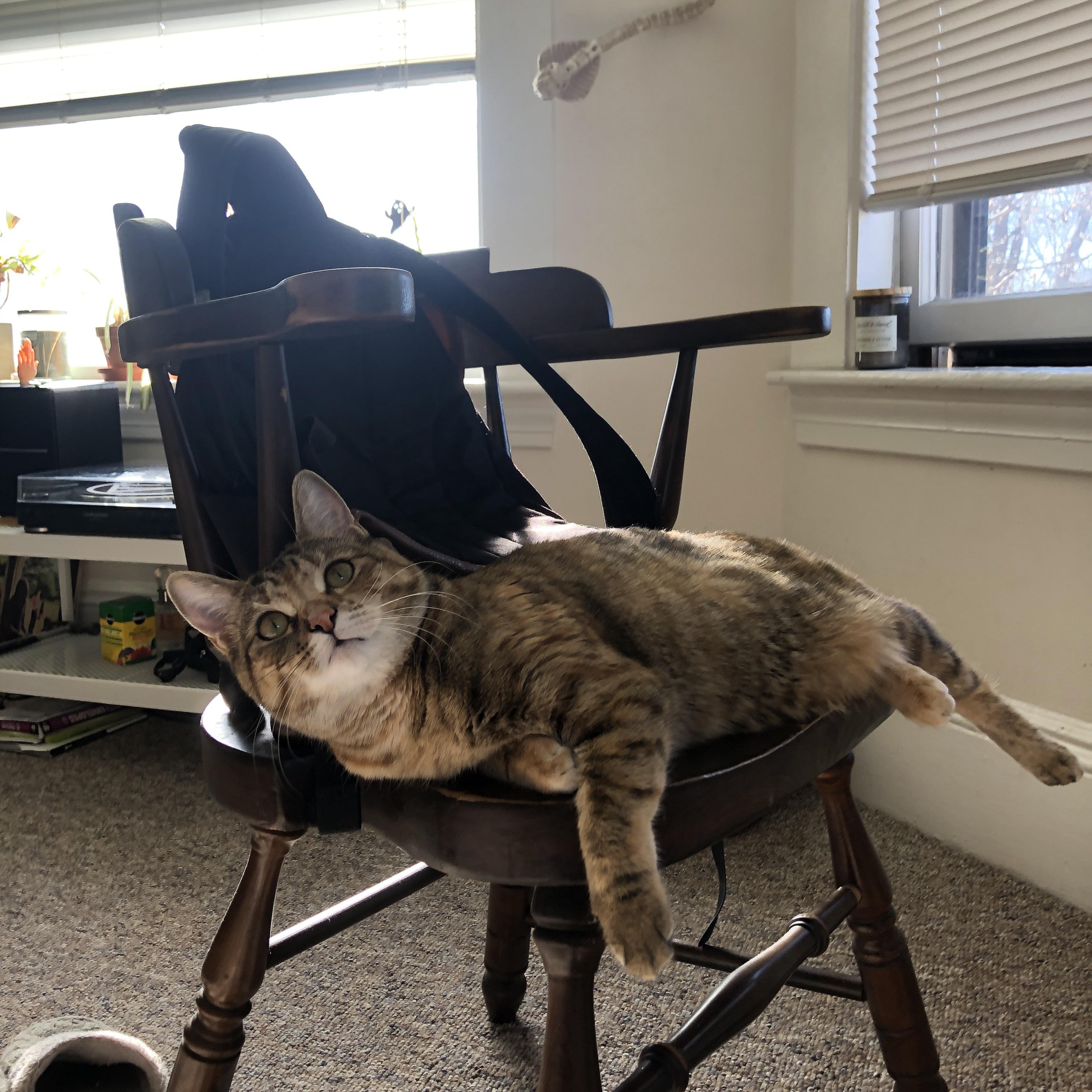 开云网页版-勇士队战术调整得当，连胜多场稳居西部前列，勇士队dub