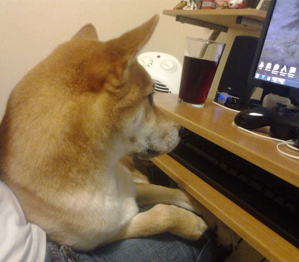 kaiyun登录入口-阿利松在对阵阿森纳的比赛中扑出关键点球，阿利松还是阿利森