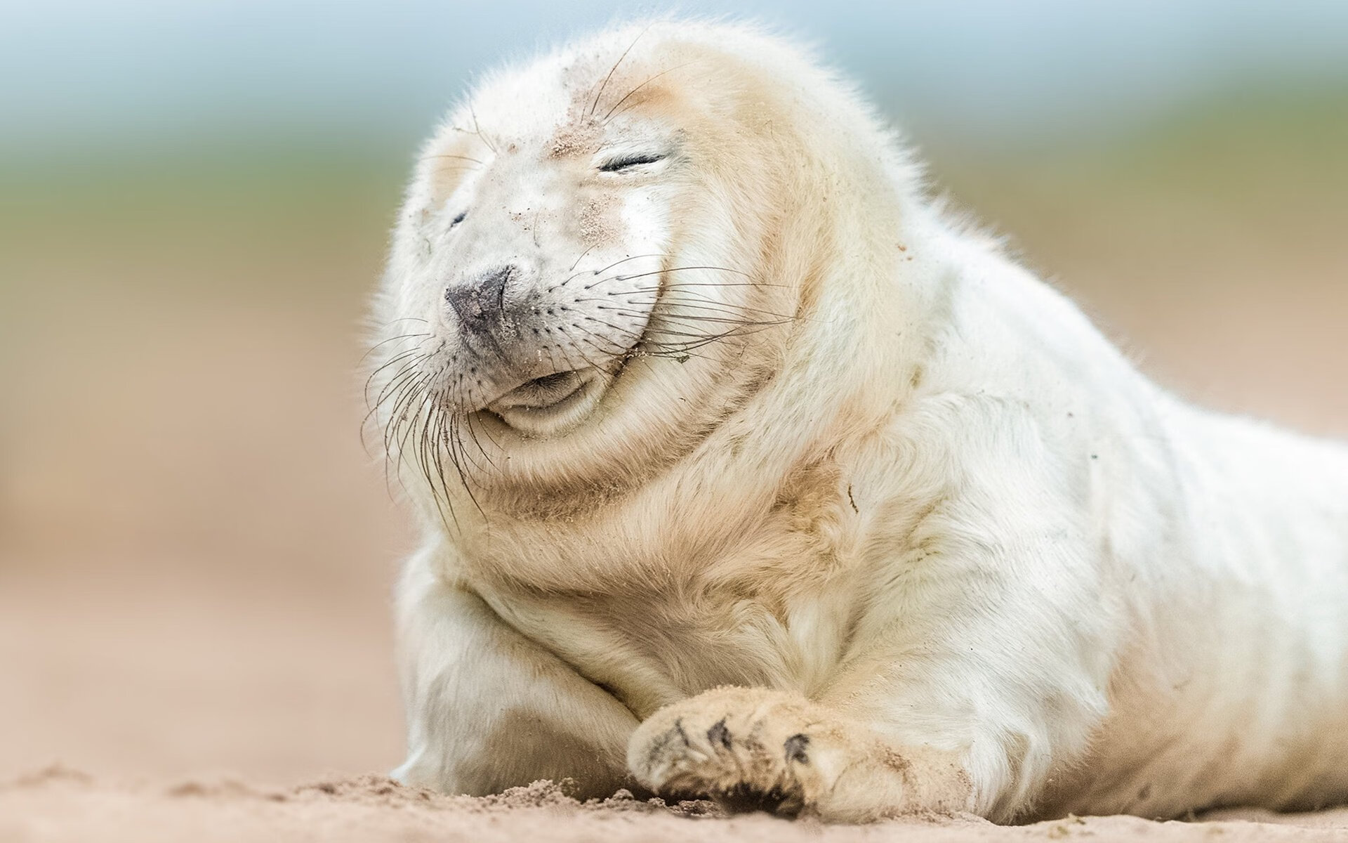 篮球专项体能训练技术创新与实践应用探索,篮球专项体能训练技术创新与实践应用探索