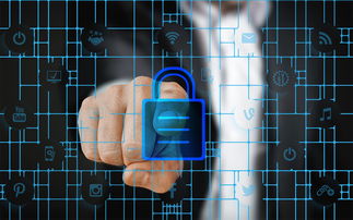 开云入口-赛事风险管理体系，体育赛事风险管理的主要内容