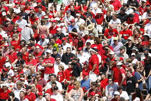 kaiyun体育app-高校体育赛事观众体验提升策略研究，体育赛事审美体验