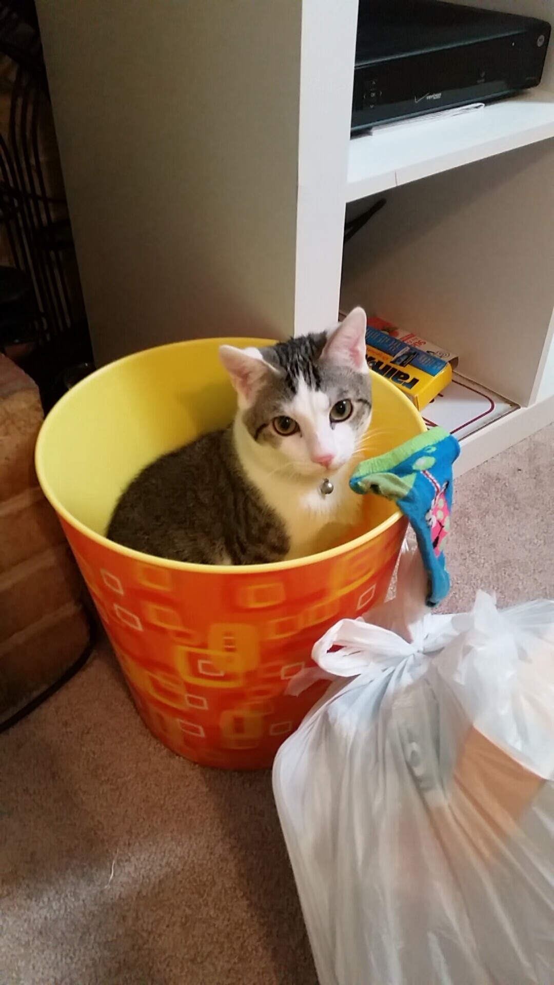 CBA各球队加强对外援的考察和管理,cba外援政策解读