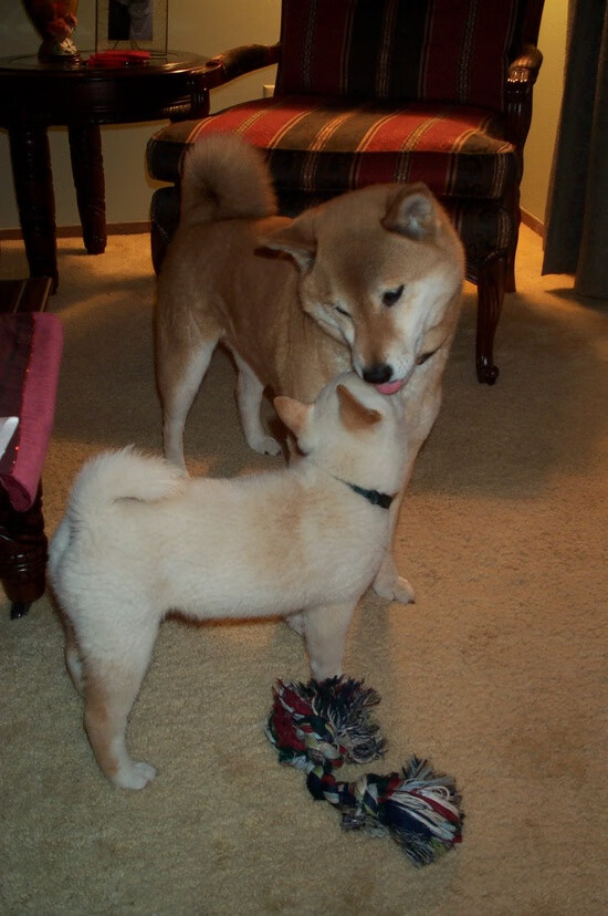 开云网站-“简阳文体中心：2025世界运动会激情燃爆，赛事精彩纷呈”