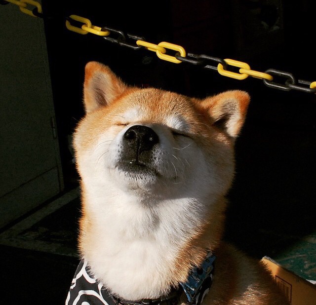 kaiyun登录入口-体育场馆新风系统实现绿色节能，体育馆的通风工作原理