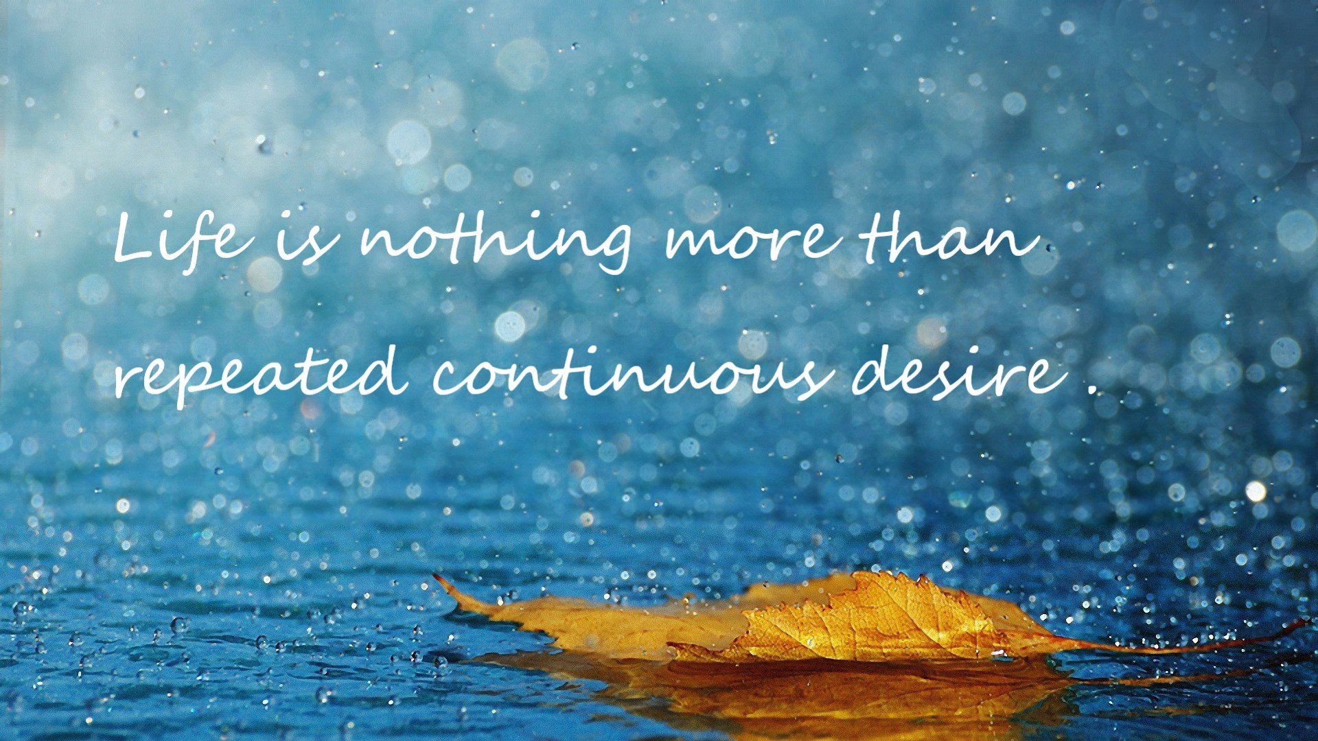 数字化直播技术实现全景多角度观赛,沉浸体验迎新潮,数字化直播是什么意思