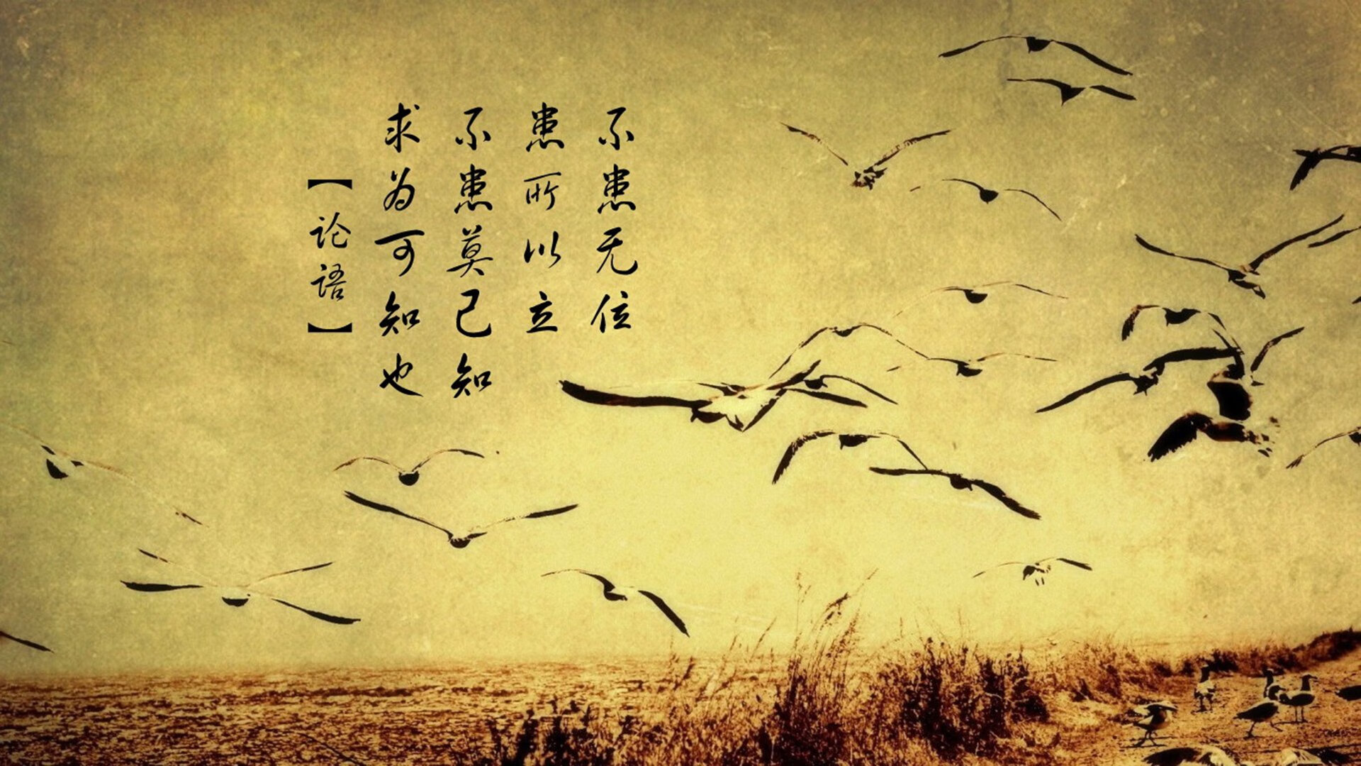 英超终极完胜:逆转夺冠,荣耀永恒!,英超夺冠规则